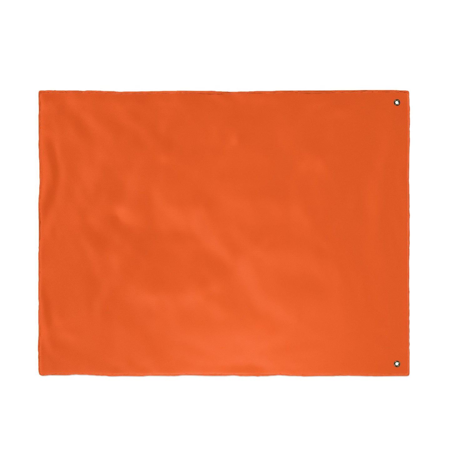 UTRGV Football Flag