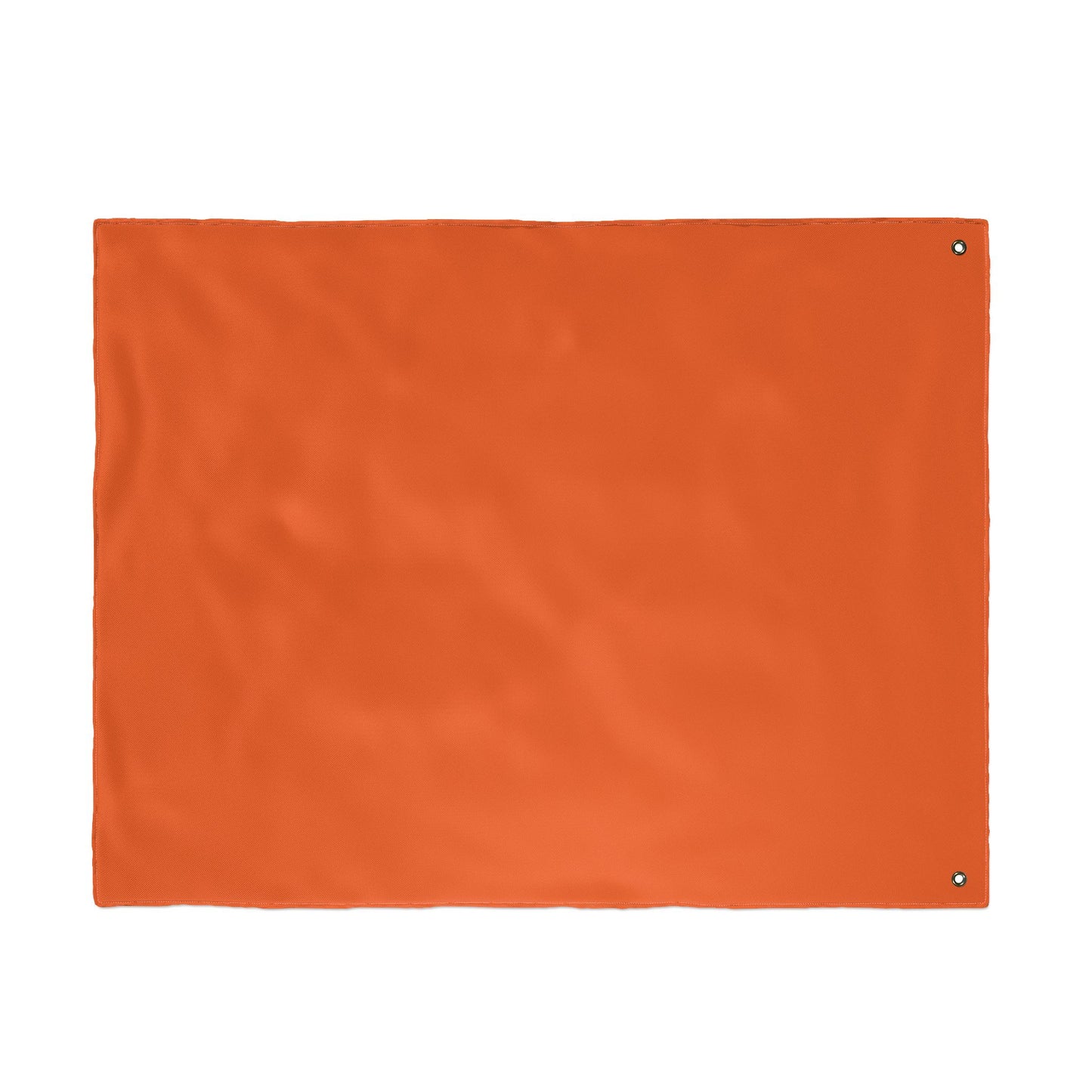 UTRGV Football Flag